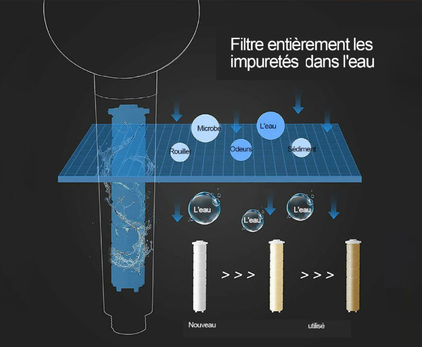 Pommeau de douche AquaLux